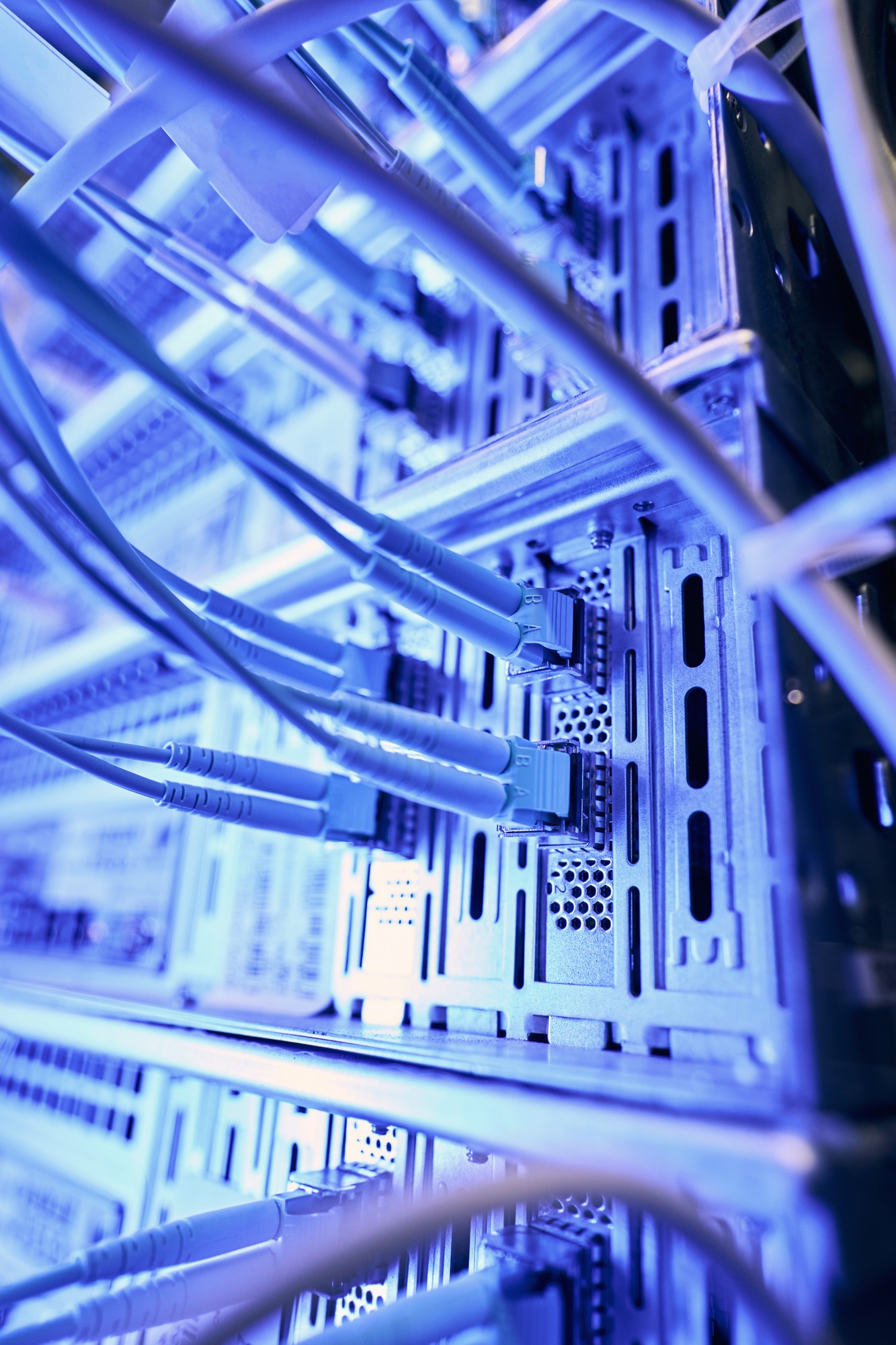 Multiple data cables plugged into network switches